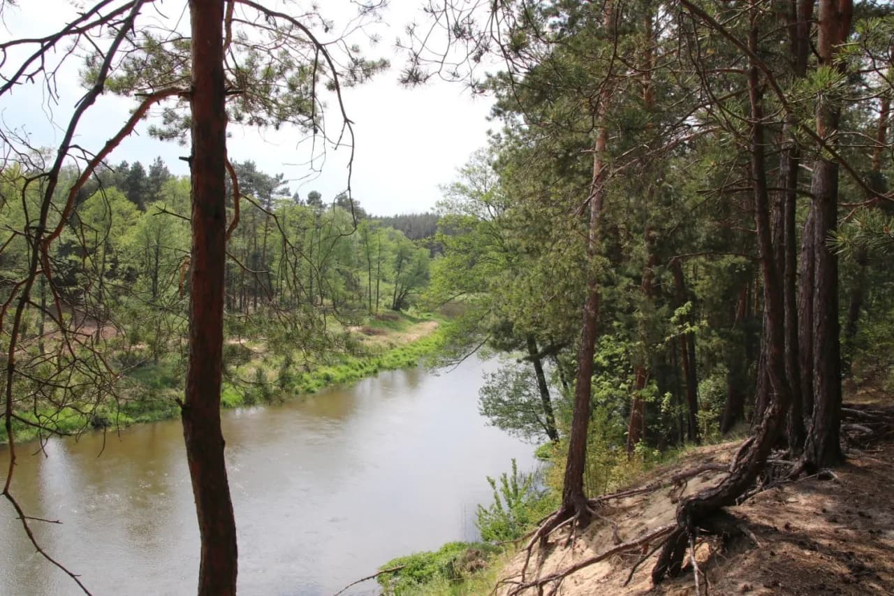 Gdzie kręcono film nad Niemnem? Odkryj niezwykłe lokalizacje filmu